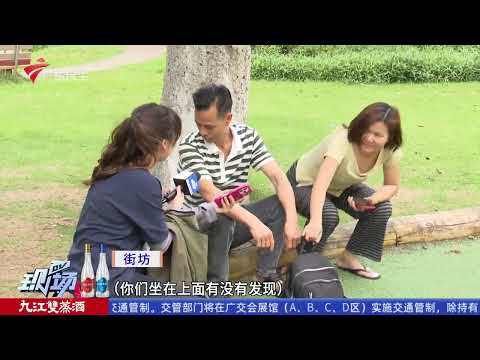 【DV现场】江门:楼栋电梯停运多日 住户无奈爬楼苦不堪言|广州:未熄灭烟头“从天而降” 警方已介入处理|佛山:公园儿童游乐区域成为白蚁“秘密家园”|20260413完整版 #粤语 #news