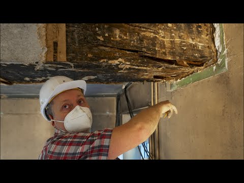 The Main Beam Is Split!