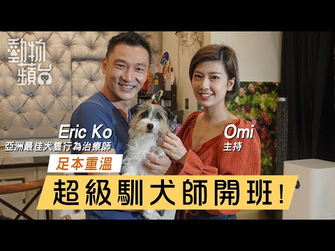 足本重溫：狗狗突然咬人？ 放狗唔肯行？ 見到其它狗就攻擊？ 超級馴犬師Eric Ko一片全解答(果籽)