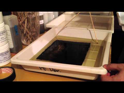 Platinum printing on Tosa Washi Platinum Paper (Japanese Tissue)