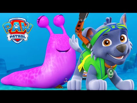 海中鸡! – 完整剧集 – PAW Patrol 汪汪队立大功 – 儿童卡通