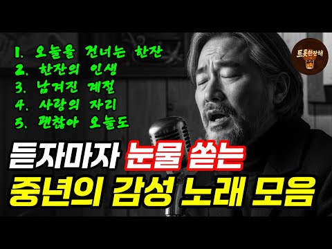 지친 인생에 건네는 따뜻한 위로｜눈물 쏟게 되는 중년 감성 트로트 모음