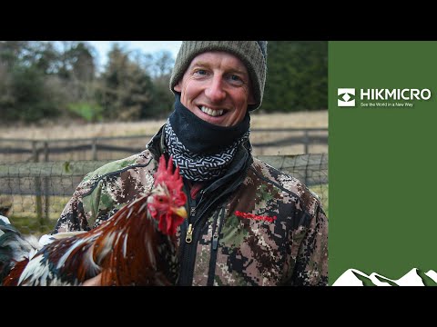 Foxshooter on chicken killer patrol