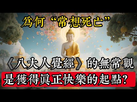 《八大人覺經》的“無常觀”：為何“常想死亡”是獲得真正快樂的起點？#佛學 #禪宗 #佛教哲學 #佛教經典