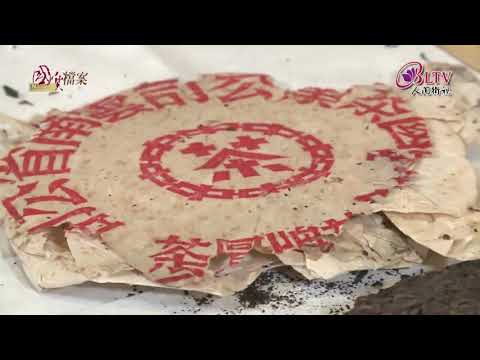 百萬老茶一杯接一杯 ~ 戴忠仁的國寶檔案