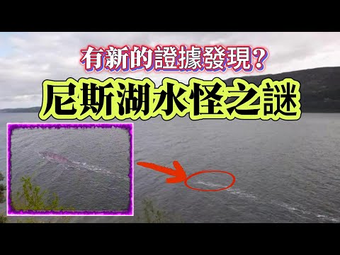 【迷霧-探索未解之謎】| 有新的證據發現？尼斯湖水怪之謎！#未解之謎 #探秘 #獵奇 #科普