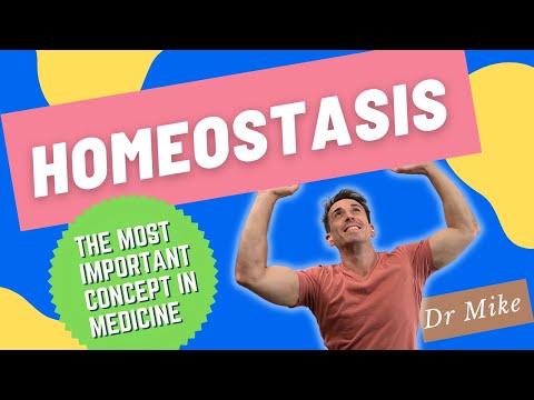 Homeostasis