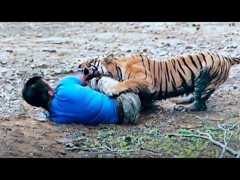 These Men Provoked The Wrong Tiger | 2007 Zoo Attacks