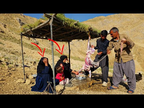 Tragedy of Nomads | The Cruel Zagros Mountains | The Loss of a Nomad Family's Livestock and Lambs🐑💔