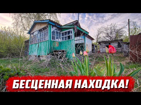 They left the most precious thing | Oryol region, Dolzhansky district, village - Plotki / Vygon