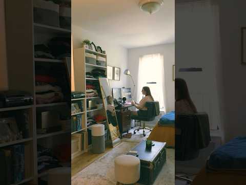 This 290 Sq Ft NYC apartment fits personality into near space