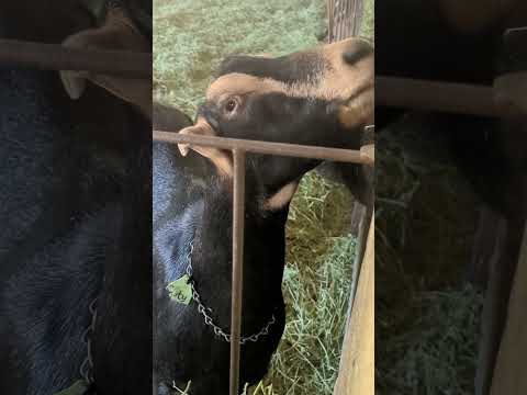 California’s Hidden Wine Country | Discover Anderson Valley