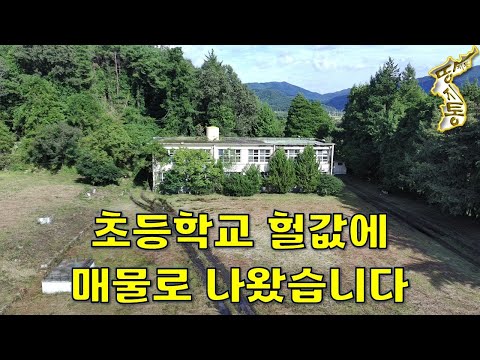 초등학교도 더는 못 버티고 헐값에 매물로 나왔습니다~땅3670평+교사+관사+샤워장[땅지통]
