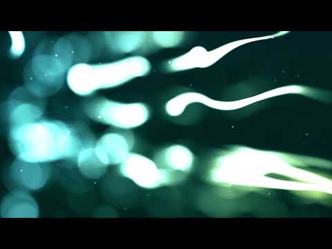 Moving Green & Blue Lines | 4K Relaxing Screensaver