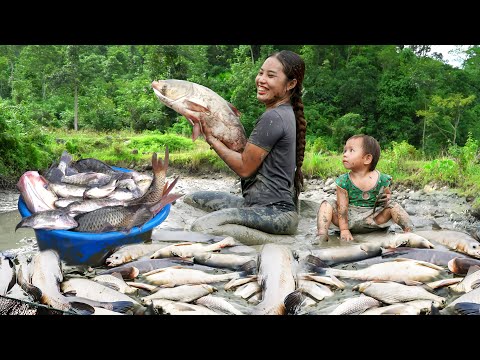 Harvest giant fish in the mud during the rainy season & Cook Yummy Food