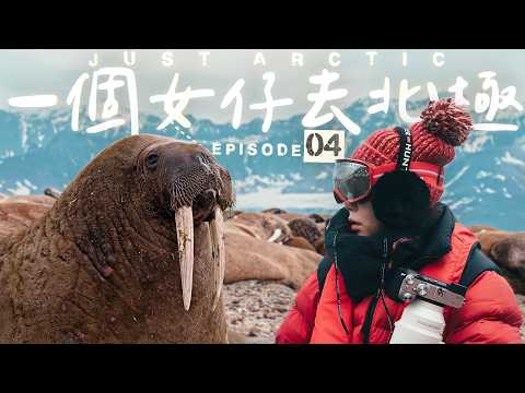 【🇳🇴北極】10 天探險船啟航！拍到BBC級數「百隻海象」震撼登陸畫面🤩2025 起北極旅遊限制將大幅收緊｜一個女仔去北極EP4｜SVALBARD ARCTIC VLOG｜RedisPolly
