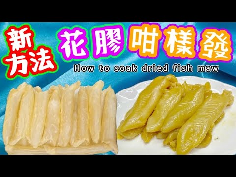 浸發花膠💜 花膠處理過程💜How to soak dried fish mawi💜效果最好💜做法容易💜￼
