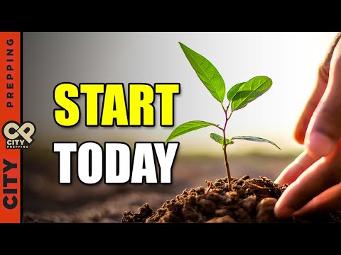 10 Vegetables You Need To Plant In May 2024