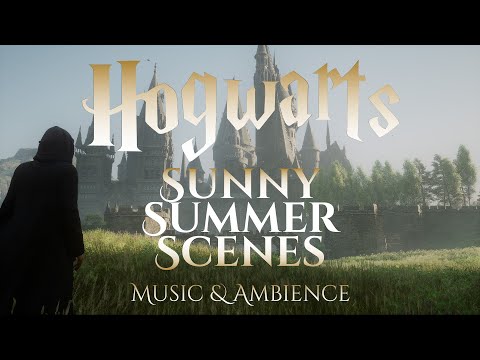 Sunny Summer Scenes at Hogwarts | Hogwarts Legacy Harry Potter Ambience