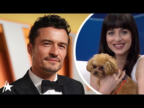 Dakota Johnson ‘Babysits’ As Orlando Bloom’s Dog Interrupts Live Interview