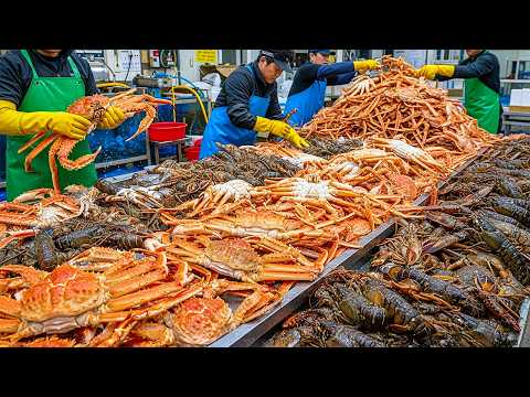 밥도둑? 이건 그냥 밥강도!! 한번 맛보면 환장하는 한국인 최애 해산물 몰아보기 TOP 6 Most Insane Seafood Dishes / Korean street food