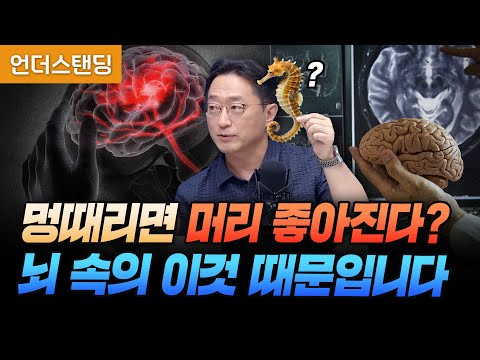 멍때리면 기억력 좋아지는 건 뇌 속의 해마 때문입니다 (서울대학교 뇌인지과학과 이인아 교수)