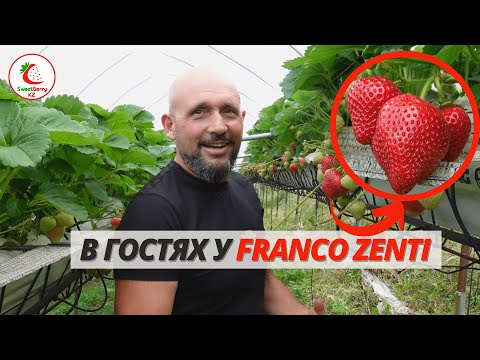 В гостях у Франко