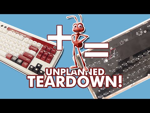 8BitDo Keyboard TEARDOWN! bcoz ANTS!!