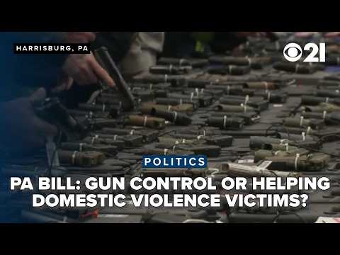 Critics say PFA violations bill passed by House is a 'gun control bill'