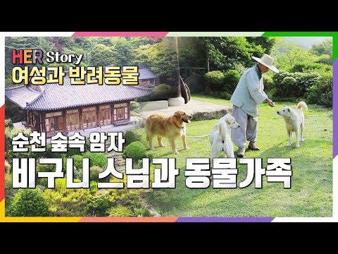 [방송 하이라이트] 산속 비구니 스님과 8마리 친구들 (KBS 20220724 방송)