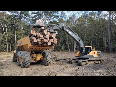 I Hit The Jackpot On My Old Farm Expansion!