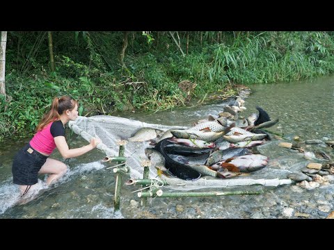 Most İnteresting Fishing Technique, How To Fishing In A Small Stream / Catch A Lot Big Fish