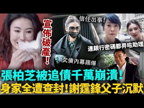張柏芝驚爆破產！被追債千萬崩潰痛哭，身家全遭查封！信錯經紀人連銀行密碼都畀晒佢！震撼內幕曝光，謝霆鋒父子全程沉默！#張柏芝 #港圈日報