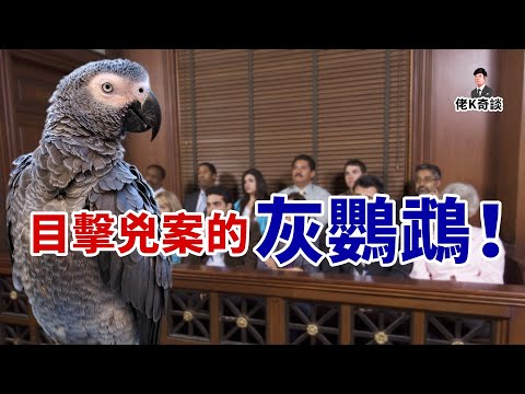 夫妻雙雙被害且線索全無，但有一只鸚鵡目擊了全過程，而且它居然開口了！
