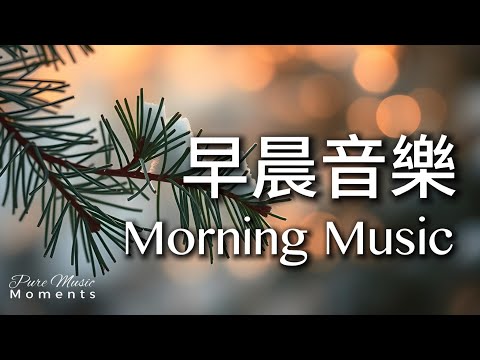 早晨音樂時光 | 🌤️靜雪松影的鋼琴音樂 1小時|早晨療癒旋律|放鬆・專注・冥想|讀書・工作・靜心|鋼琴、水晶音樂|放鬆心緒的鋼琴旋律 #morningmusic #pianomusic #鋼琴音樂