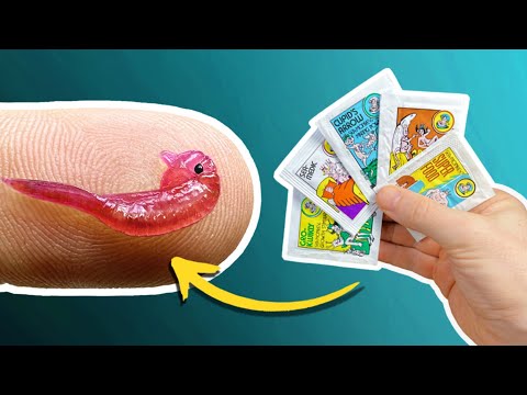 Sea-Monkey Packet Experiments!