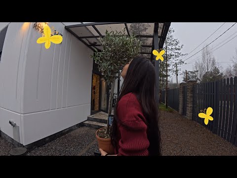 We're looking at two houses made from precast concrete panels. We also heard the customer's opini...