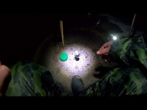 ЛОВЛЯ КРУПНОГО ЛЕЩА НА РЕЗИНКУ!!Рыбалка в АВГУСТЕ 2022