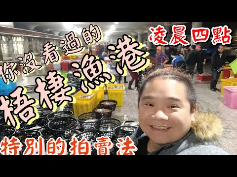 台中梧棲漁港丨你沒看過的凌晨四點拍賣市場丨特別的批發拍賣法丨排名第一的竹午買來吃吃看丨驚人!香螺一顆竟然破千元