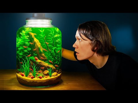 I Built a Giant Shrimp Jar Aquarium