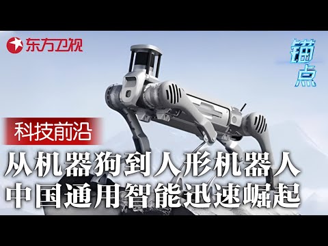 探索大模型之外的通用智能途径: 从机器狗到哦人形机器人, 中国人工智能发展速度惊人 #锚点 FULL