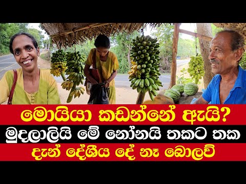 මොයියා කඩන්නේ ඇයි? | මුදලාලියි මේ නෝනයි තකට තක | දැන් දේශීය දේ නෑ බොලව්