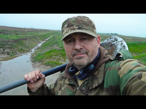 Проверил Поле возле Канавы а там монеты. Treasure Hunters  Metallist