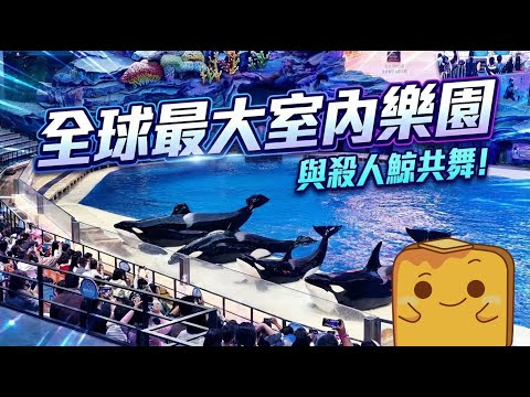 [珠海] 2026年橫琴長隆🛸超詳細評測🏟️ 睇殺人鯨🐋 最大人工珊瑚🪸 最大室內人造🌊