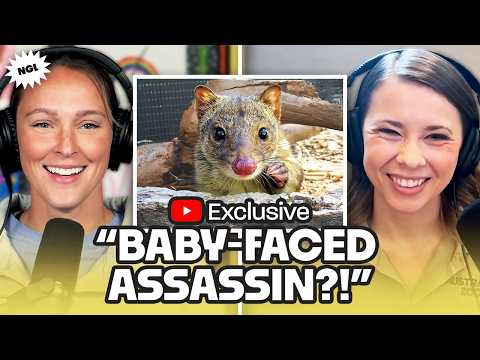 Bindi Irwin answers every animal question Kylie has always wanted the answer to! | More Sh*t Monday