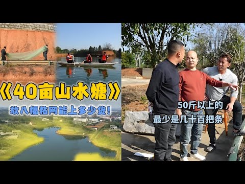 小飞哥跟华哥花10万包下40亩的山水塘，看看里面的鱼到底有多大？最后到底是赚还是亏？#户外抓鱼 #户外捕鱼 #小飞哥抓鱼 #乡村生活 #农村生活