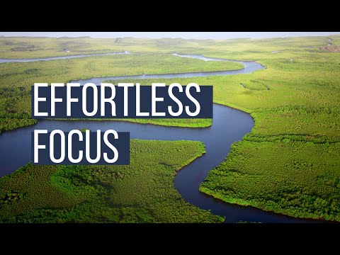 Effortless Focus with Loch Kelly