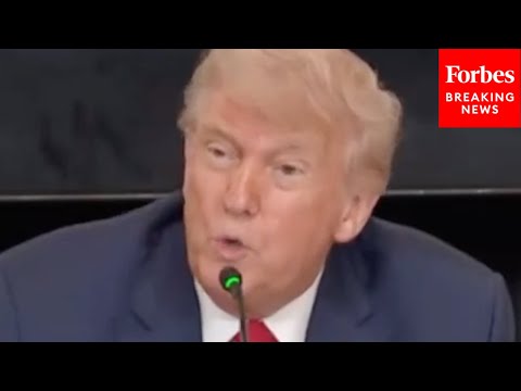 'I Didn't Even Know He Was Lebanese': Trump Praises His Pick For Ambassador To Lebanon, Michel Issa