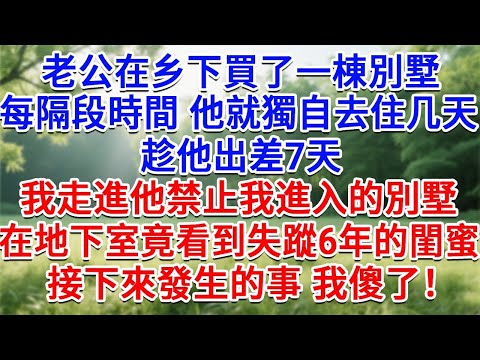 老公在鄉下買了一棟別墅，每隔一段時間，他就獨自去住幾天，趁他出差7天，我走進他禁止我進入的別墅，在地下室竟看到失蹤6年的閨蜜，接下來發生的事 我傻了！#生活經驗#情感故事#故事#小說#戀愛#情感#婚姻