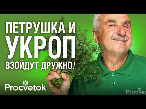 Dill, parsley, and basil will sprout quickly and easily if you learn these sowing tips from an ag...